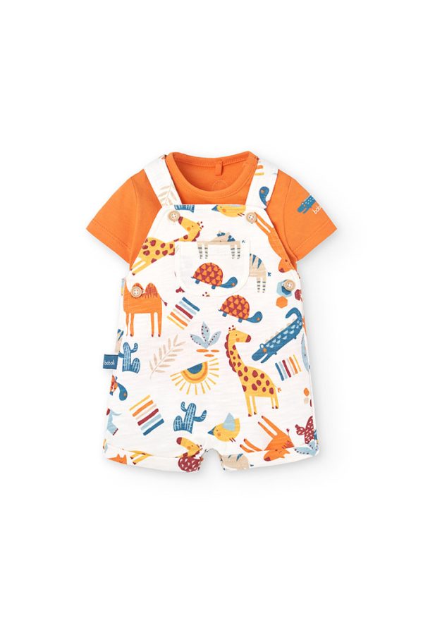 Set knit for baby boy -BCI