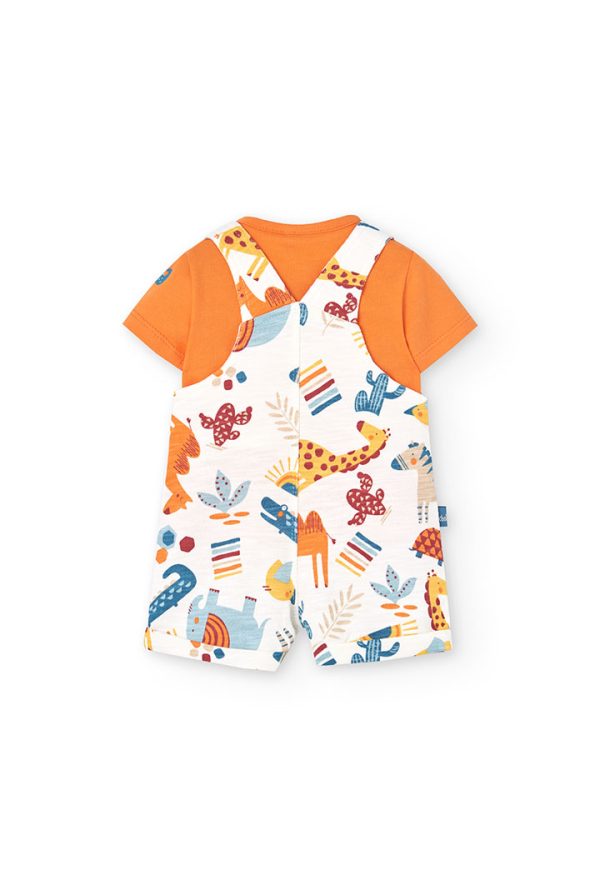 Set knit for baby boy -BCI - Image 2