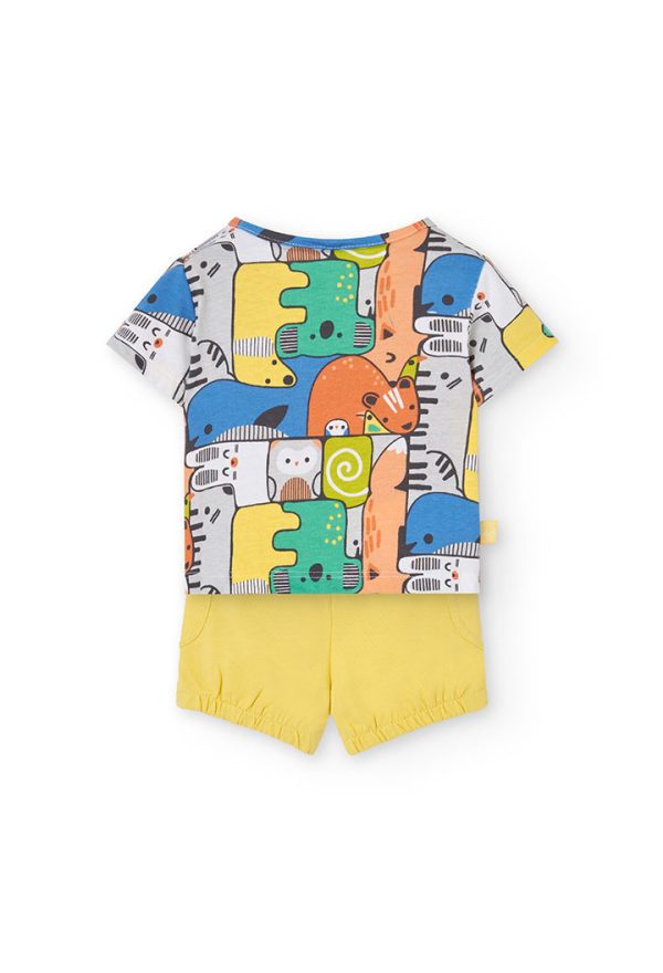 Set knit for baby boy -BCI - Image 2