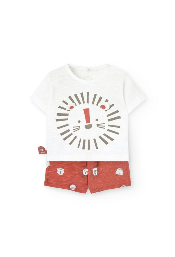 Set knit for baby boy -BCI