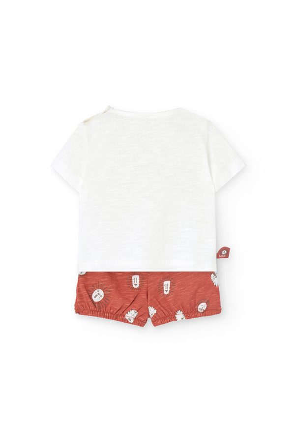 Set knit for baby boy -BCI - Image 2