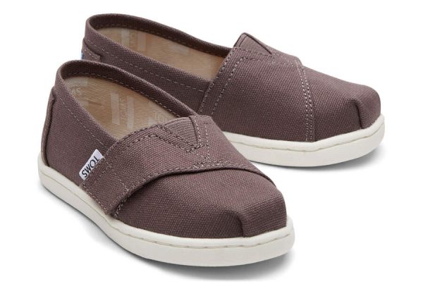 TOMS CLASSIC ASH CANVAS GREY-BROWN (No 18,5-28,5) 10010527 - Image 2